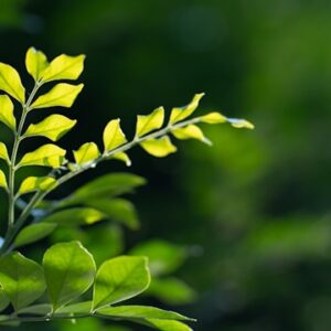 【掲載のお知らせ】人の言葉に傷つきやすいあなたへ｜やさしさと強さに寄り添うコラムが公開されました